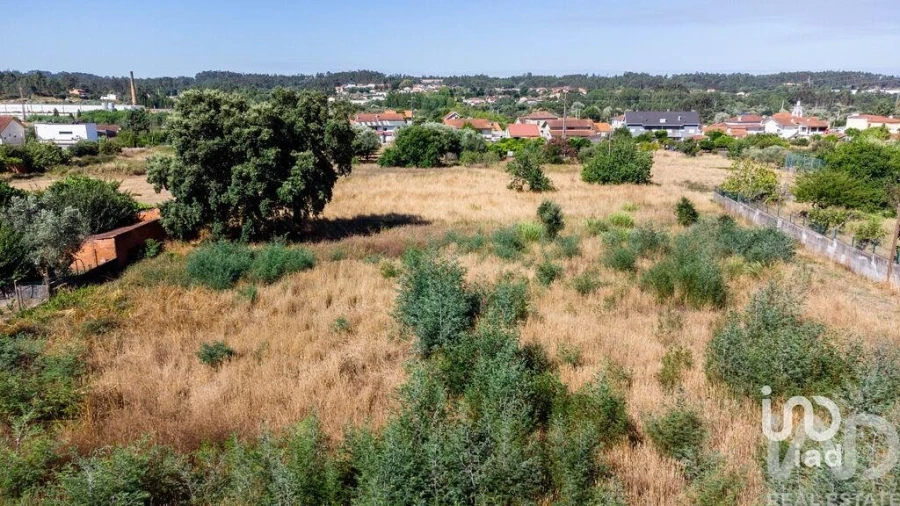 Terreno para Venda em Pampilhosa Foto 20