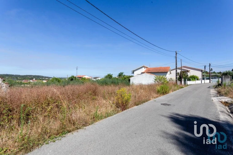 Terreno para Venda em Pampilhosa Foto 3