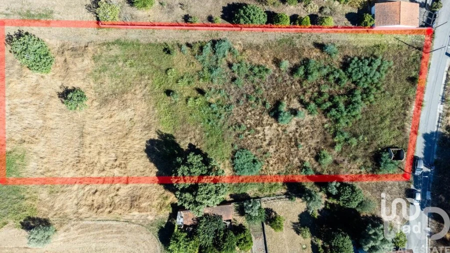 Terreno para Venda em Pampilhosa Foto 16