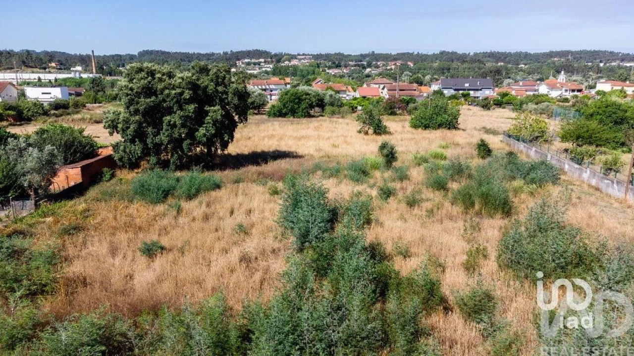 Terreno para Venda em Pampilhosa Foto 20