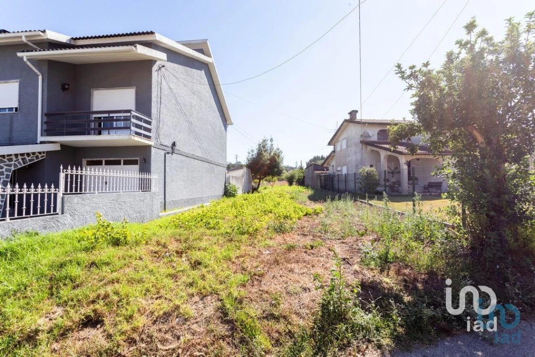 Terreno para Venda em Pampilhosa Foto 4
