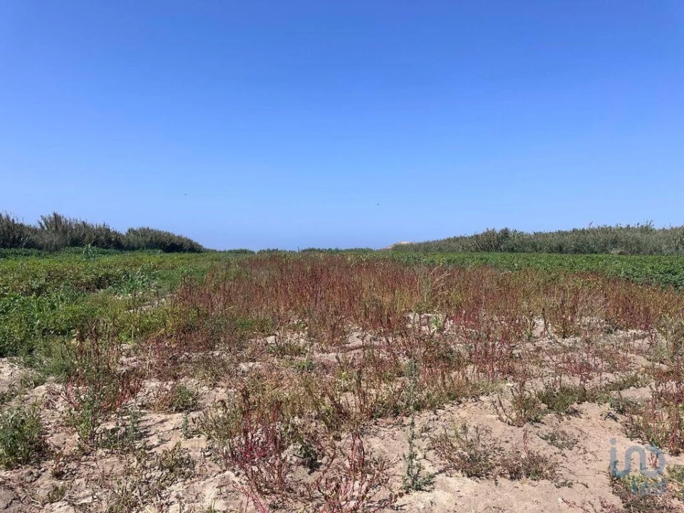 Terreno para Venda em Ferrel Foto 4