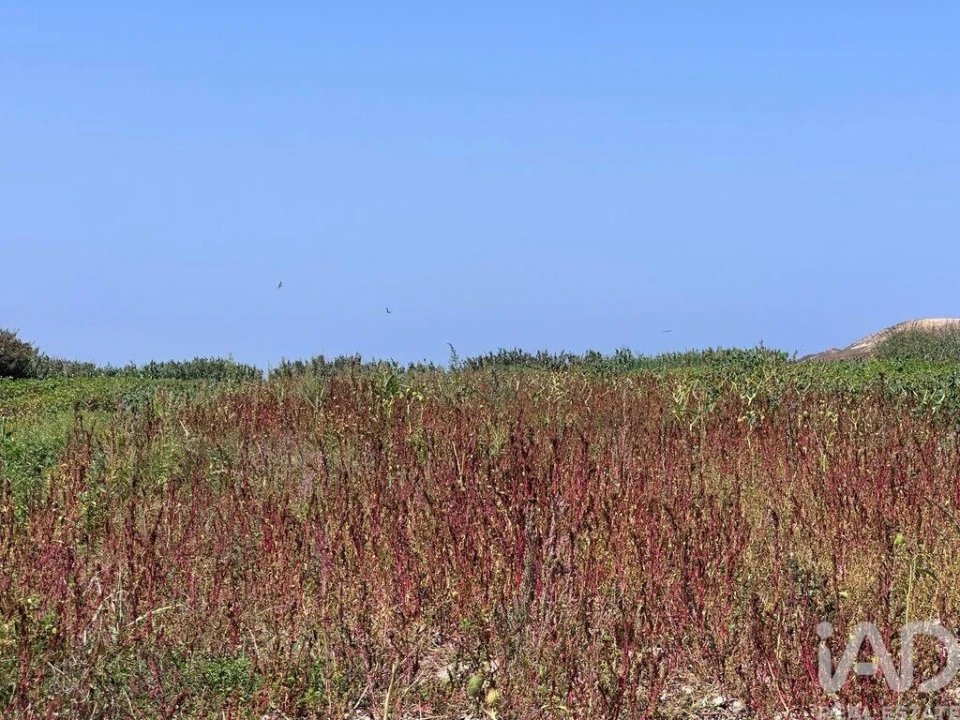 Terreno para Venda em Ferrel Foto 15