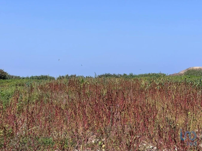 Terreno para Venda em Ferrel