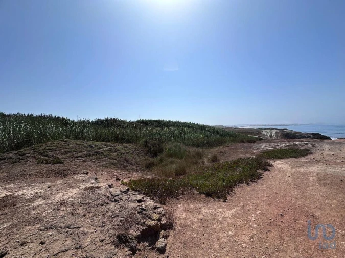 Terreno para Venda em Ferrel Foto 11