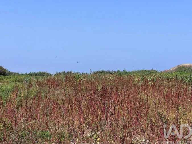 Terreno para Venda em Ferrel Foto 18