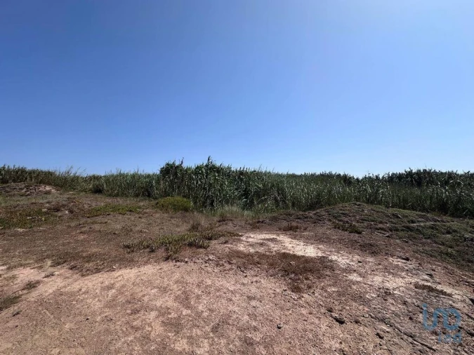 Terreno para Venda em Ferrel Foto 10