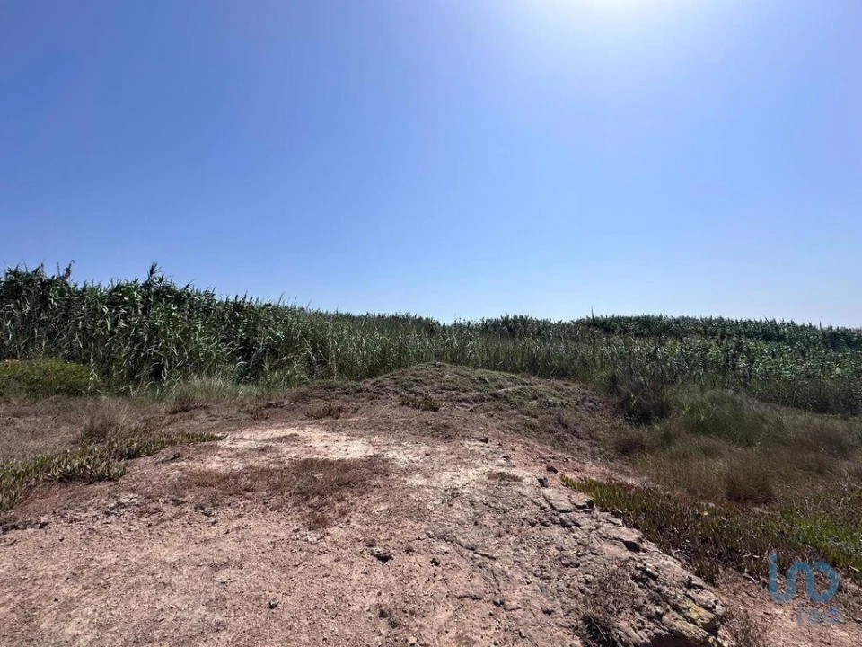 Terreno para Venda em Ferrel Foto 5