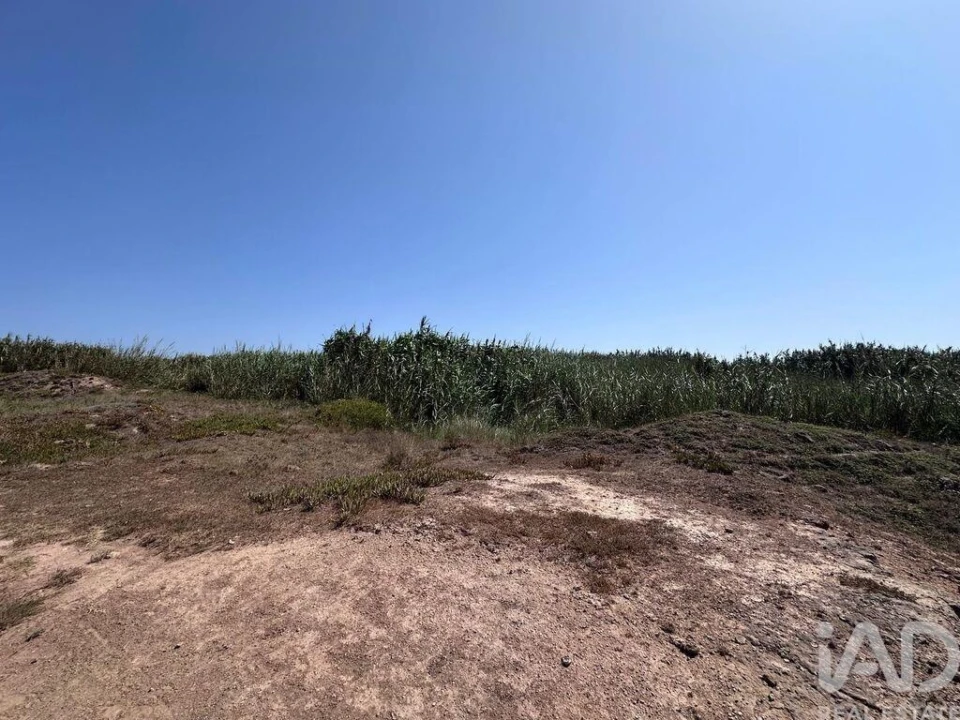 Terreno para Venda em Ferrel Foto 27