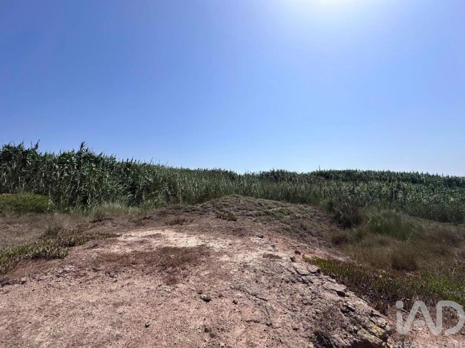 Terreno para Venda em Ferrel Foto 26