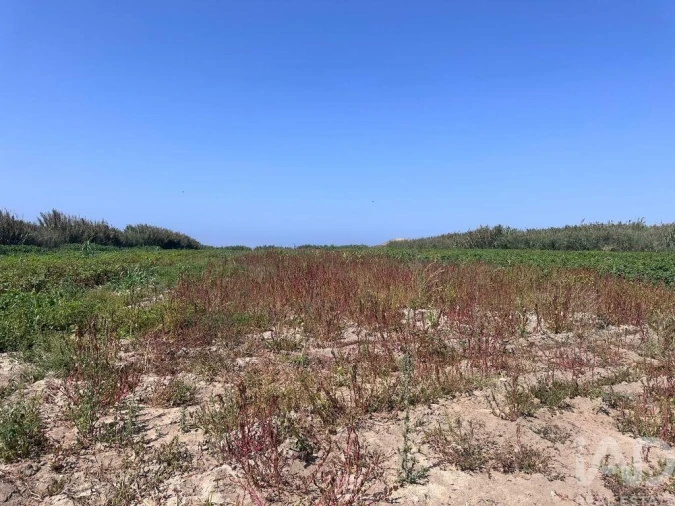 Terreno para Venda em Ferrel Foto 25
