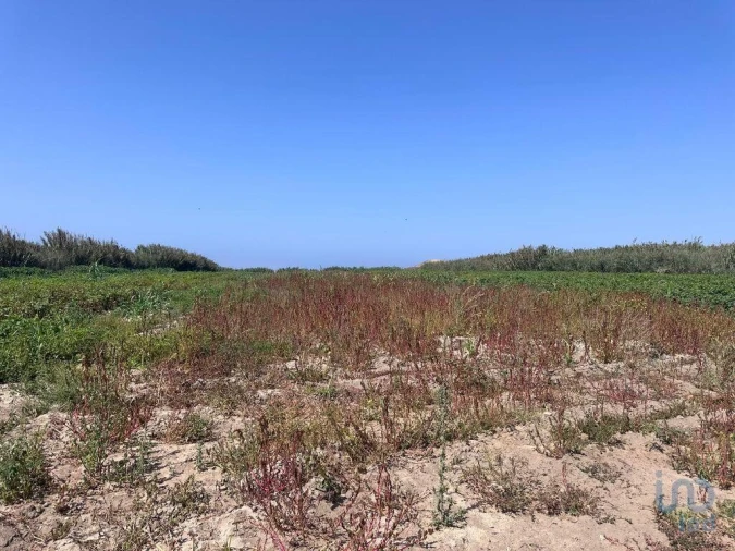 Terreno para Venda em Ferrel Foto 6