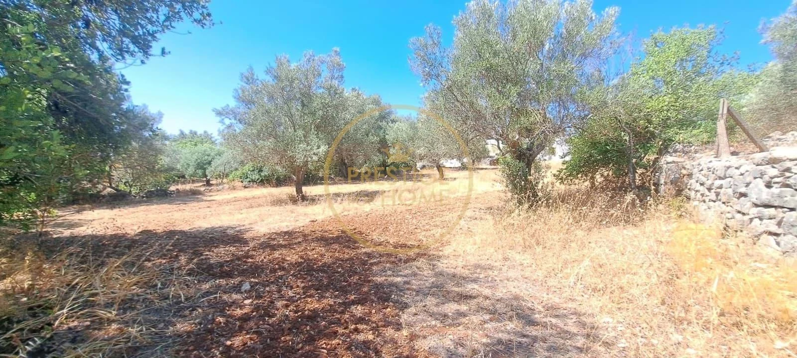 Moradia T2 para Venda em Loule (São Clemente) Foto 20