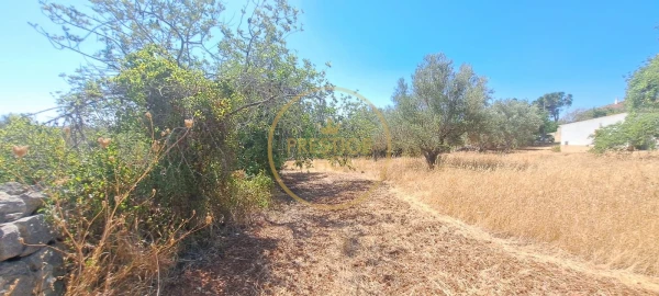 Moradia T2 para Venda em Loule (São Clemente)