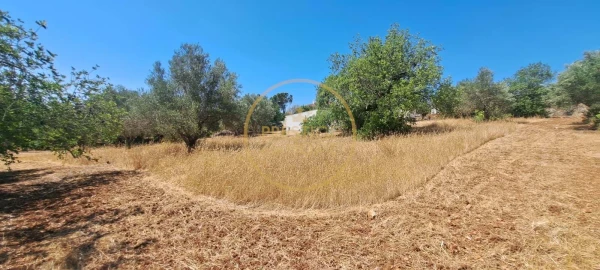 Moradia T2 para Venda em Loule (São Clemente)