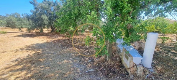 Moradia T2 para Venda em Loule (São Clemente)