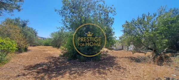 Moradia T2 para Venda em Loule (São Clemente)