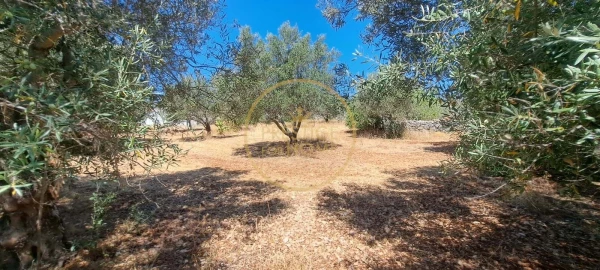 Moradia T2 para Venda em Loule (São Clemente)