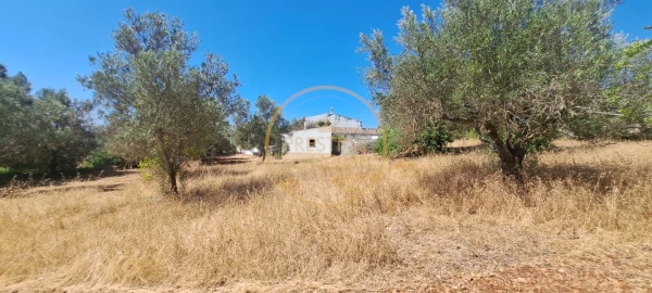 Moradia T2 para Venda em Loule (São Clemente)