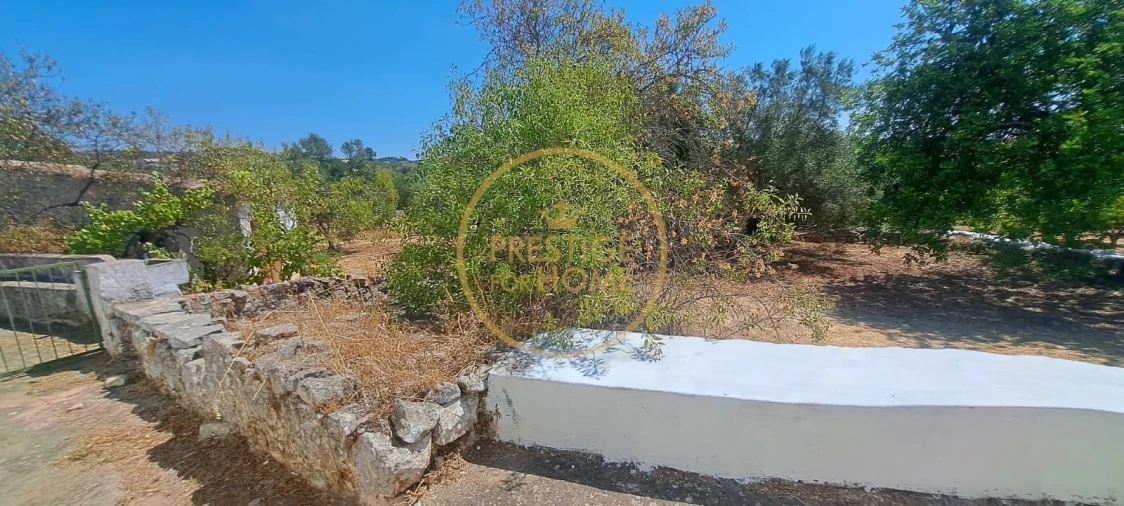 Moradia T2 para Venda em Loule (São Clemente) Foto 46