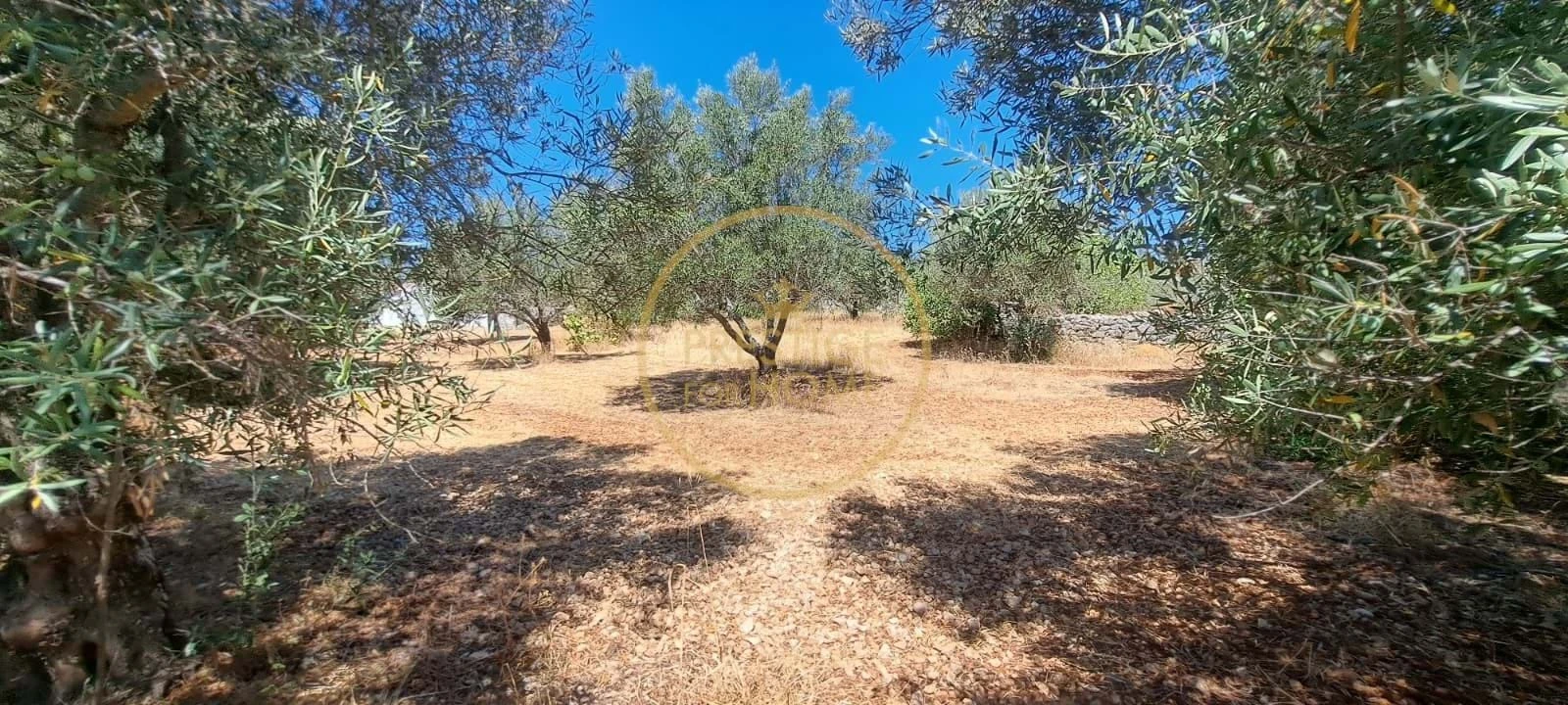 Moradia T2 para Venda em Loule (São Clemente) Foto 50