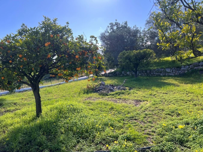 Quinta T4 para Venda em Loule (São Clemente) Foto 29