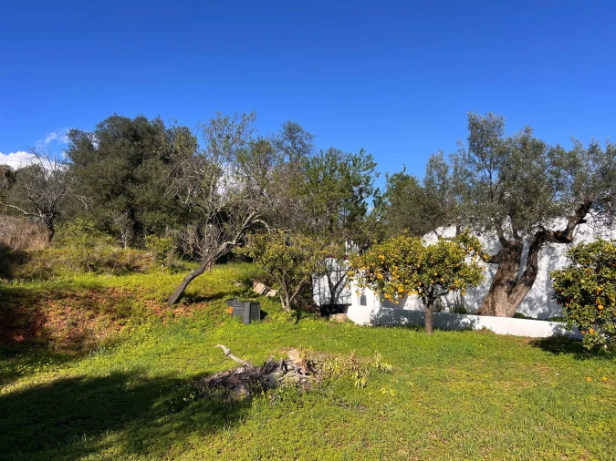 Quinta T4 para Venda em Loule (São Clemente) Foto 31