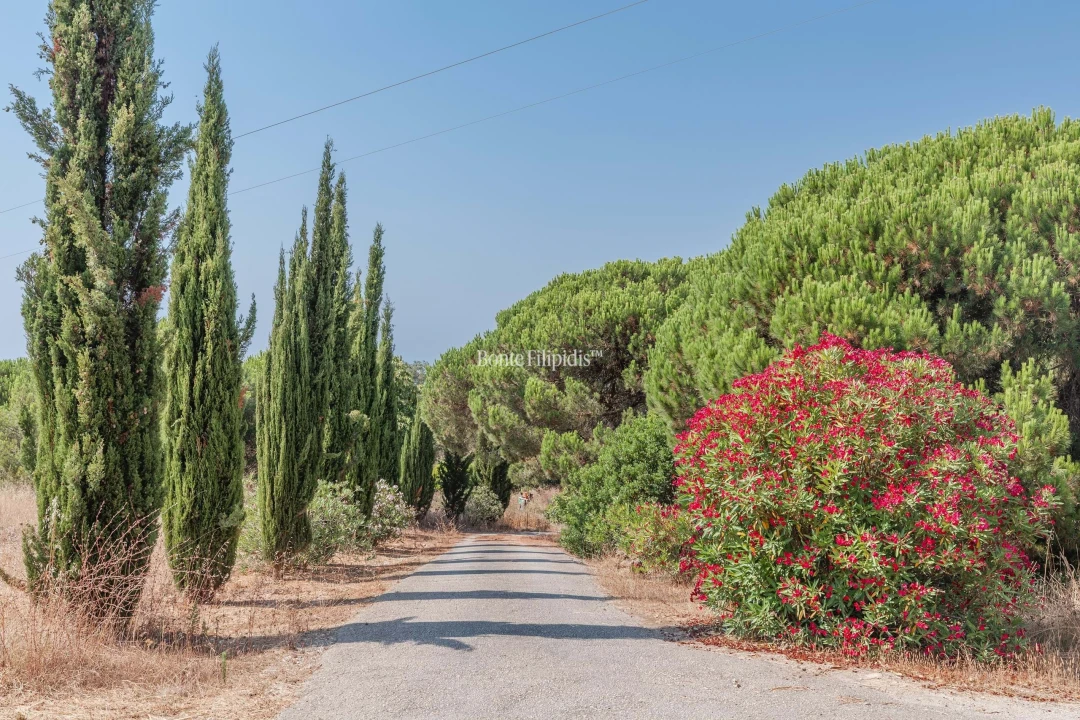 Moradia T7 para Venda em Quinta do Conde Foto 25