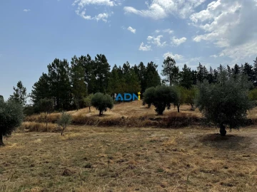 Terreno para Venda em Freixial e Juncal do Campo