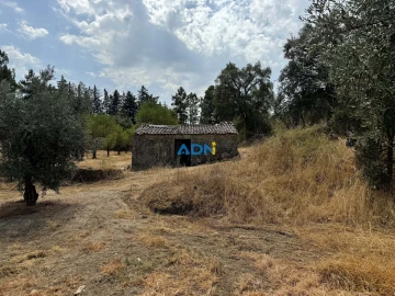 Terreno para Venda em Freixial e Juncal do Campo