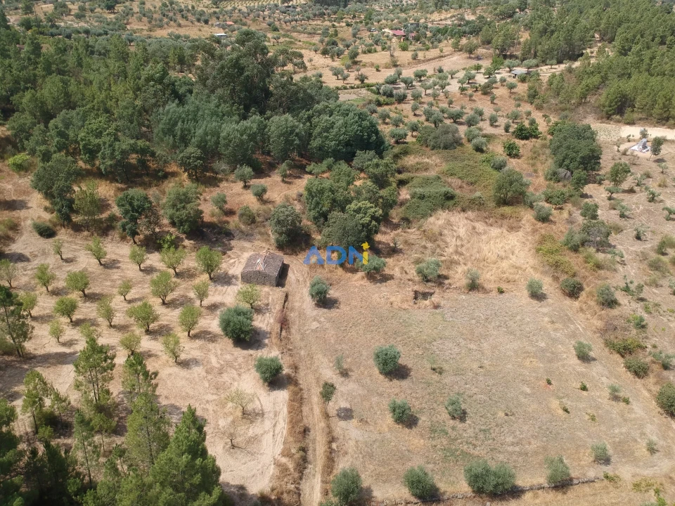 Terreno para Venda em Freixial e Juncal do Campo Foto 2