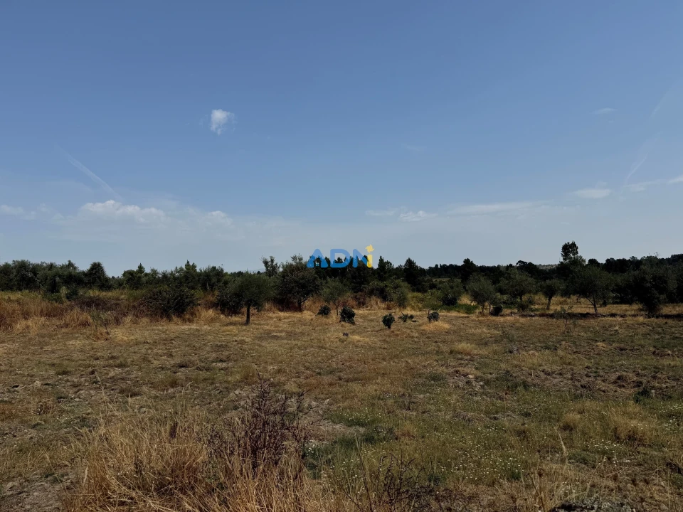 Terreno para Venda em Freixial e Juncal do Campo Foto 4