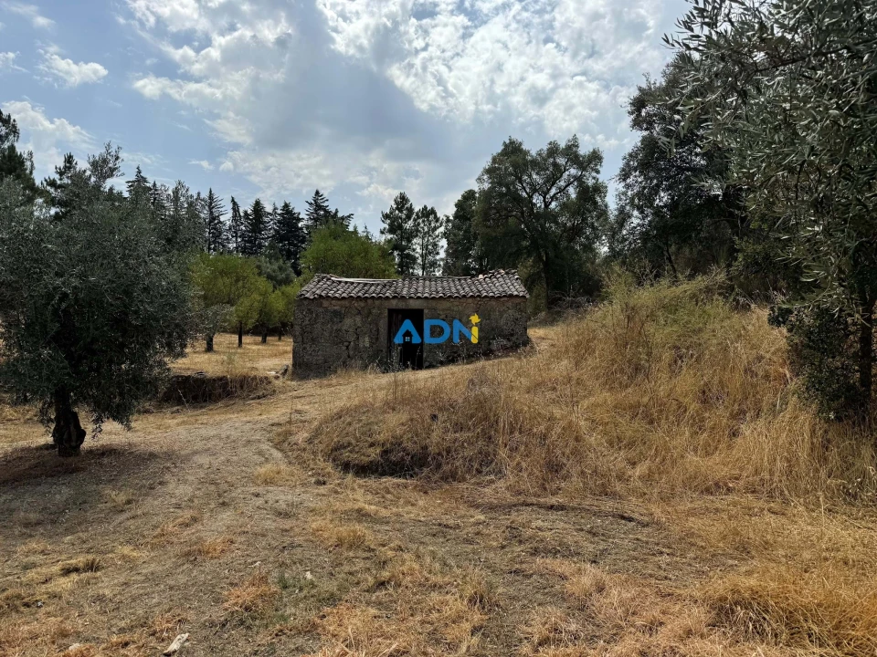 Terreno para Venda em Freixial e Juncal do Campo Foto 1