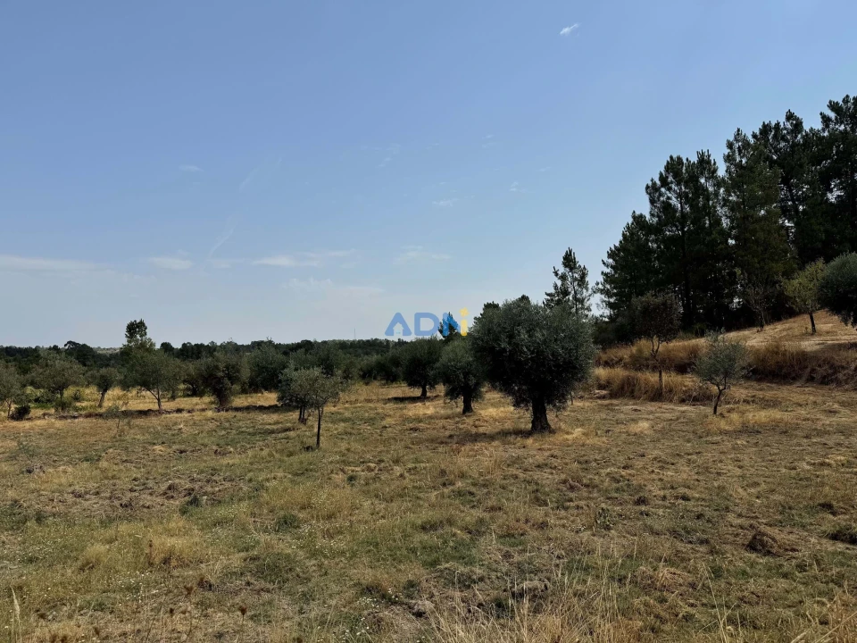 Terreno para Venda em Freixial e Juncal do Campo Foto 5