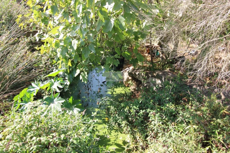 Quinta T4 para Venda em Aljezur Foto 25