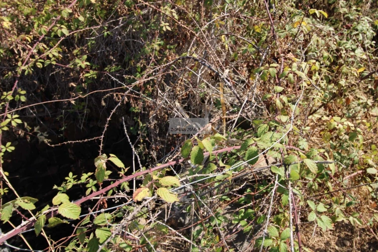 Quinta T4 para Venda em Aljezur Foto 28