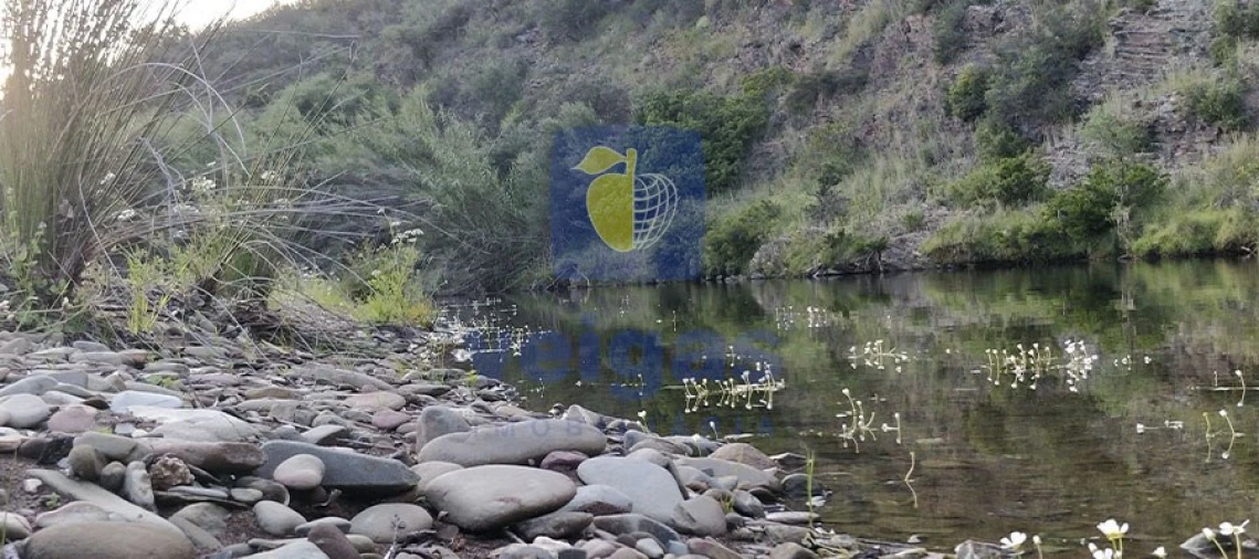 Moradia T1 para Venda em Cachopo Foto 16