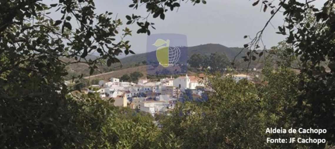 Moradia T1 para Venda em Cachopo Foto 22