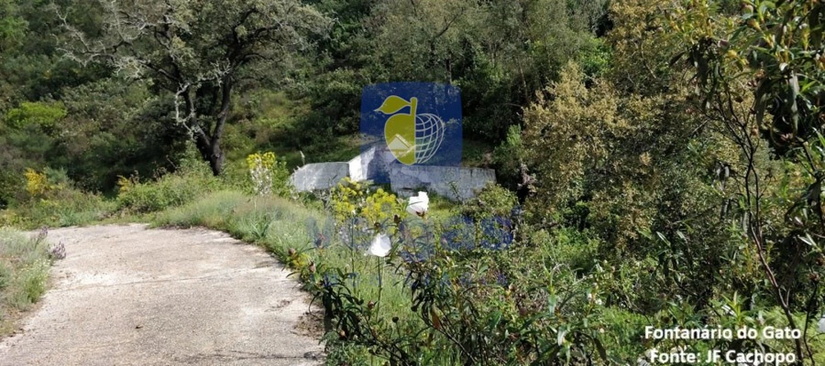 Moradia T1 para Venda em Cachopo Foto 10