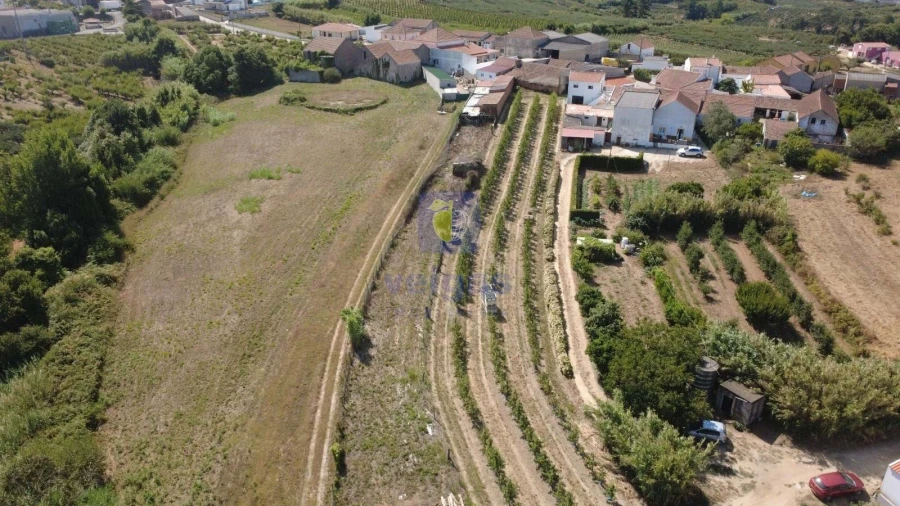 Quinta T2 para Venda em Usseira Foto 8