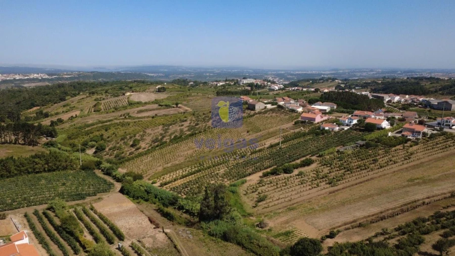 Quinta T2 para Venda em Usseira Foto 7