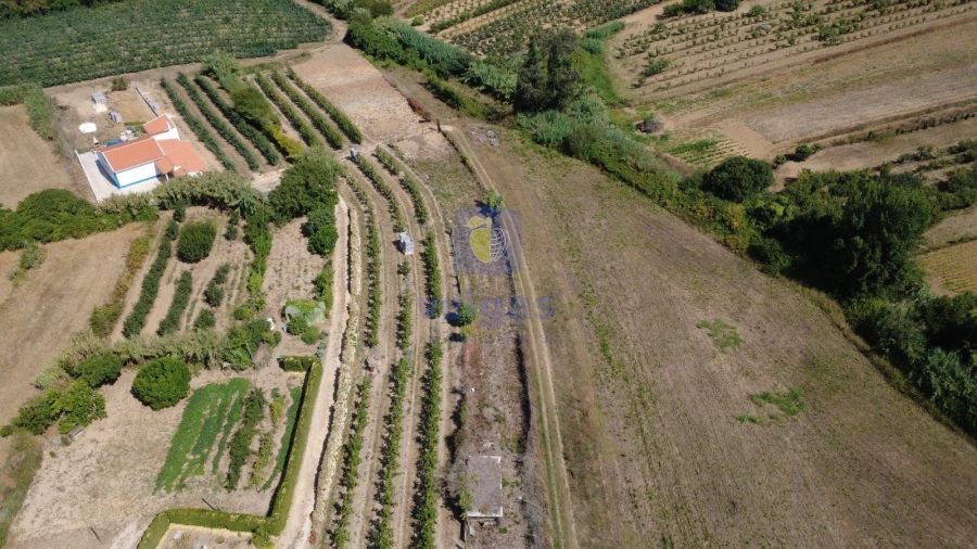 Quinta T2 para Venda em Usseira Foto 16