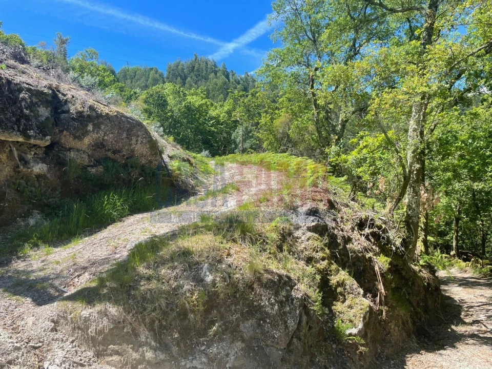 Terreno para Venda em Caniçada e Soengas Foto 2