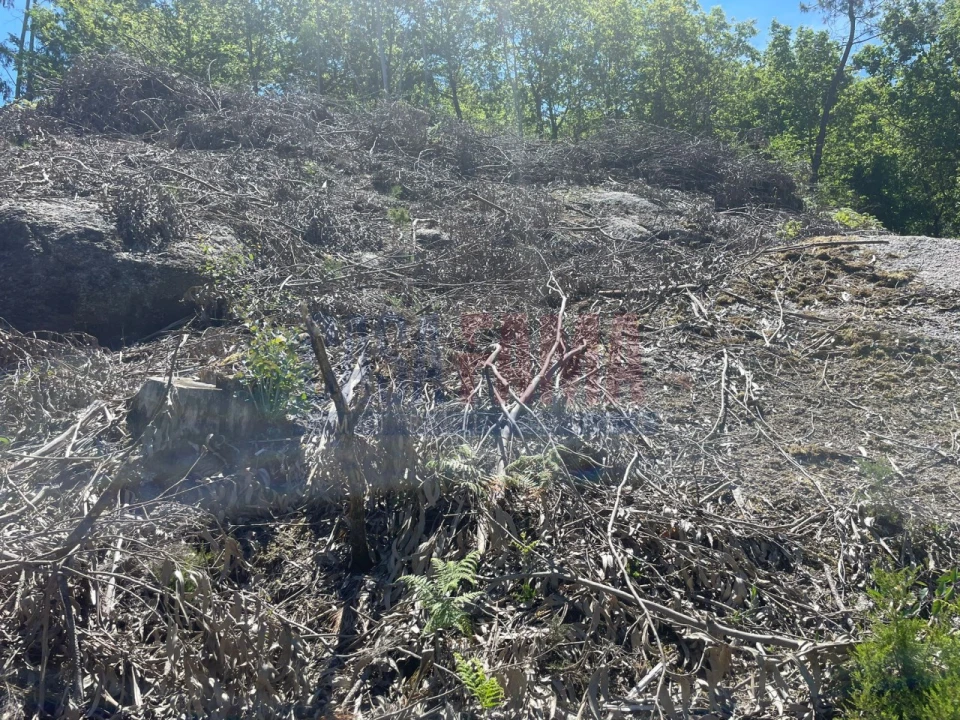 Terreno para Venda em Caniçada e Soengas Foto 13