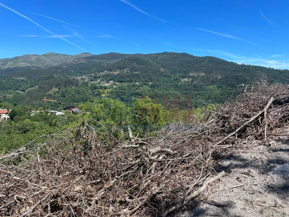 Terreno para Venda em Caniçada e Soengas Foto 16