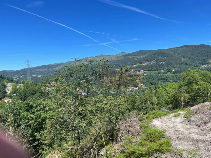 Terreno para Venda em Caniçada e Soengas Foto 7
