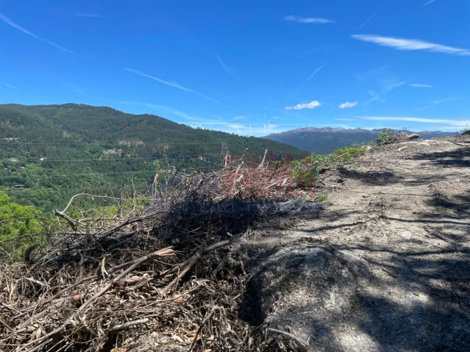 Terreno para Venda em Caniçada e Soengas Foto 10