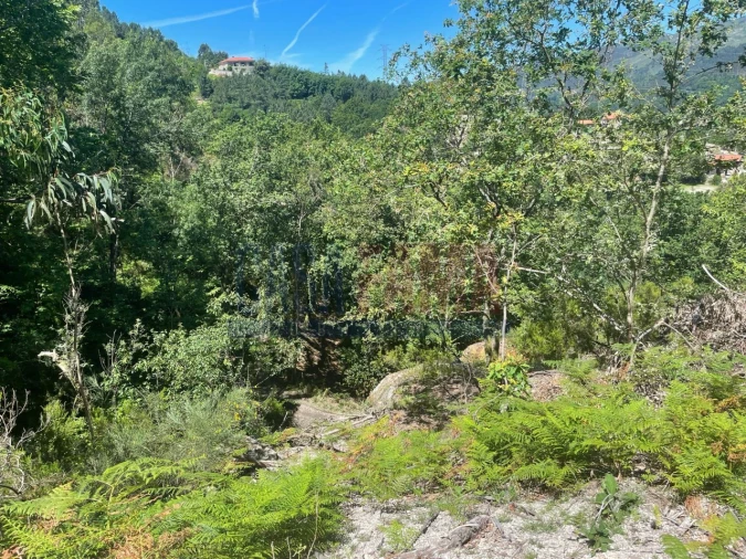Terreno para Venda em Caniçada e Soengas Foto 14