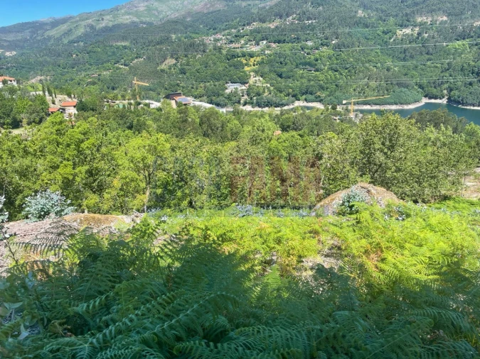 Terreno para Venda em Caniçada e Soengas Foto 15
