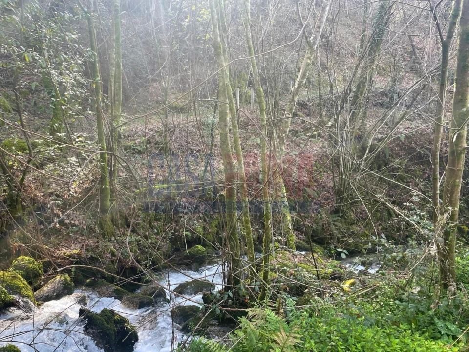 Terreno para Venda em Caniçada e Soengas Foto 7